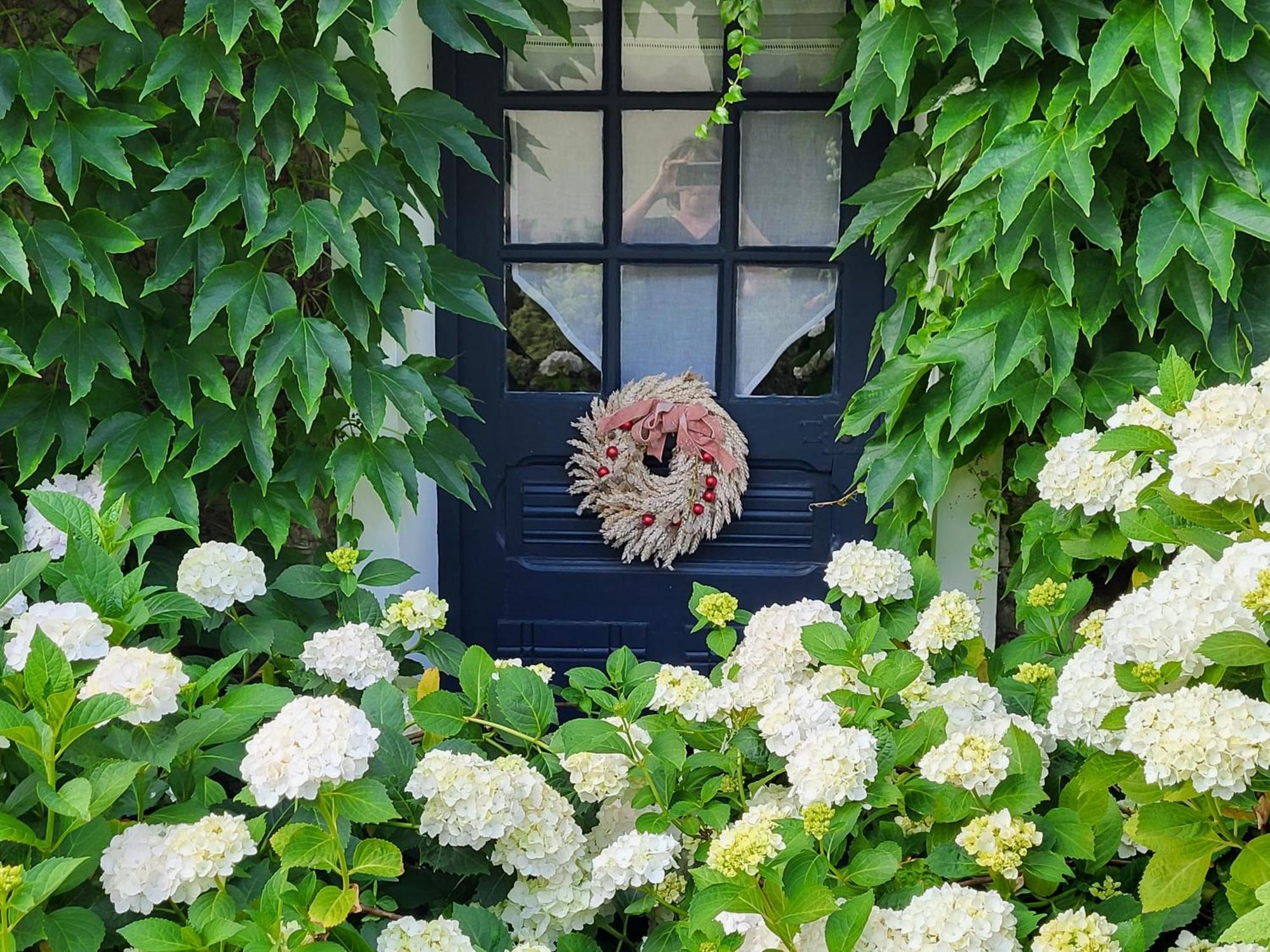 Bed and Breakfast Les Glycines Ury Exterior foto